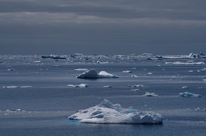 Drift ice by Kai Müller