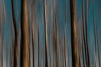 Abstract Nature