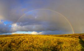 Arc-en-ciel dans les dunes de l'île de Texel dans la mer des Wadden sur Sjoerd van der Wal Photographie