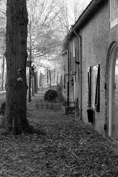Oude tijden in de herfst par Rick Crauwels