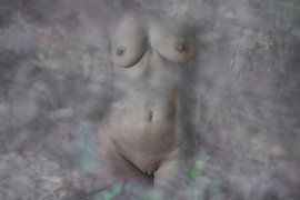 Akt-Torso in Blüten rosa