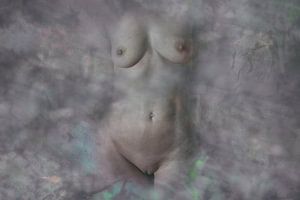 Akt-Torso in Blüten rosa