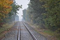 Treinrails verdwijnt aan de horizon. van Ronald H thumbnail