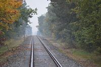 Treinrails verdwijnt aan de horizon.
