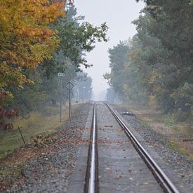 Treinrails verdwijnt aan de horizon. van Ronald H