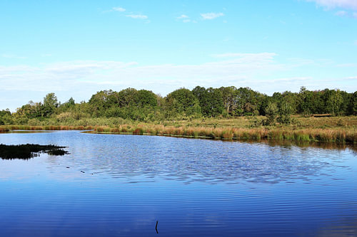 Calm Water landscape