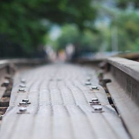 Sebastiaan  van Beem Profile picture