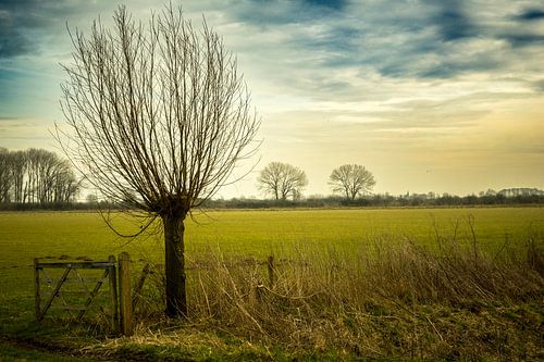 De Ooijpolder bij Nijmegen