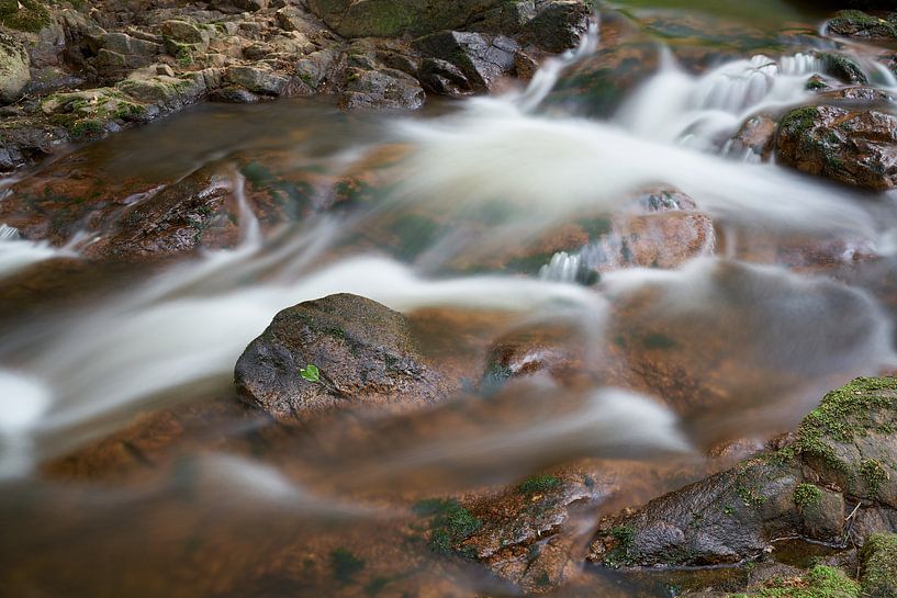The river Ilse near Ilsenburg at the foot of the Brocken in the Harz National Park by Heiko Kueverling