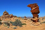 South Coyote Buttes van Antwan Janssen thumbnail