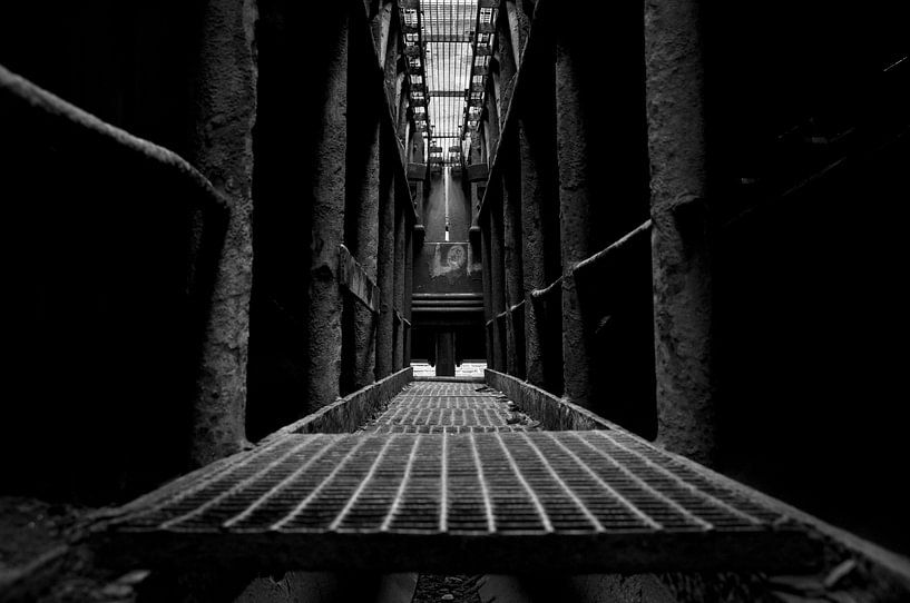 Industrial Symmetry van Maurice Moeliker