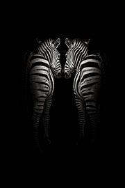 Mirrored Zebra Embrace by Bob Daalder