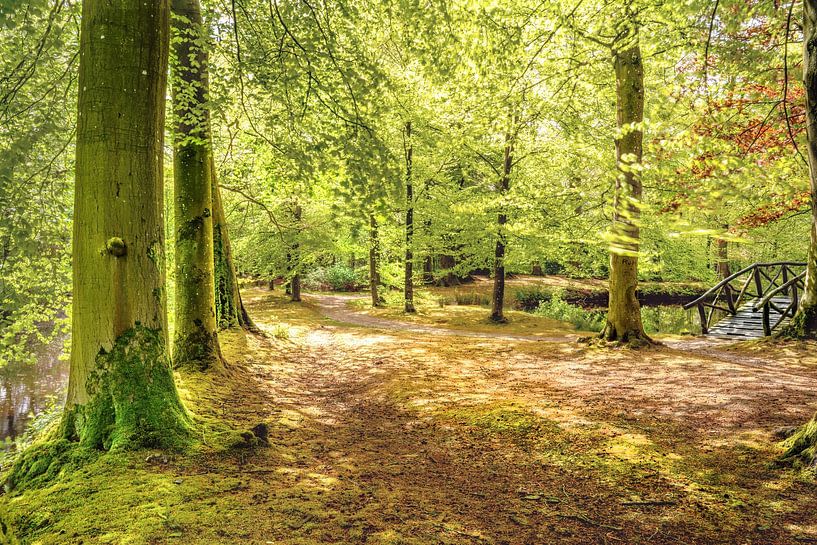 Ruhe und Gelassenheit im Park von Marcel Kieffer