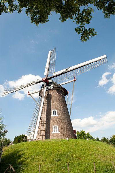 Beltmolen Zeldenrust van Richard Wareham