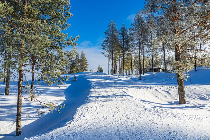 Landschap met sneeuw in de winter in Kuusamo, Finland van Rico Ködder