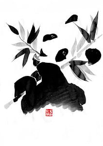 panda sur Péchane Sumie