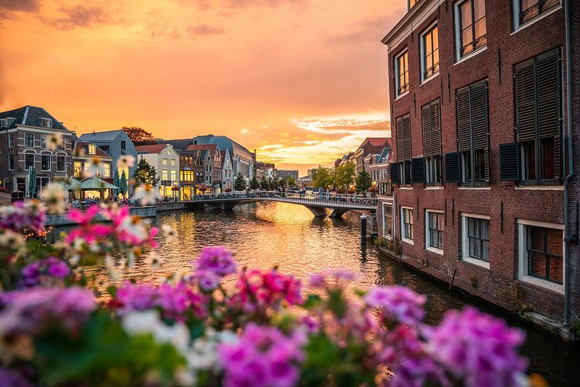 Leiden - Sunset where the ridges meet (0038) by Reezyard