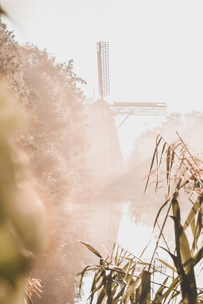 De Riekermolen in de gouden lentemist van Frederike Heuvel