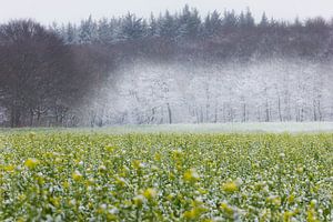 winter kunst