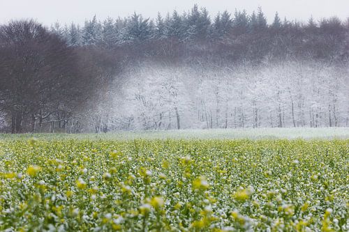 winter kunst