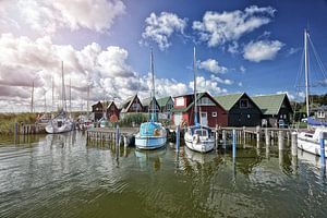Im Hafen von Althagen bei Ahrenshoop