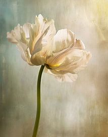 Delicate flower in soft colours