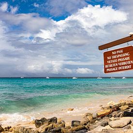 L'île Catalina et MeinSchiff sur AidasignArt