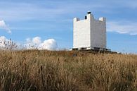 Isle of Whithorn Tower, Galloway, Schotland van Imladris Images thumbnail