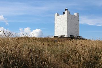 Isle of Whithorn Tower, Galloway, Schotland van Imladris Images