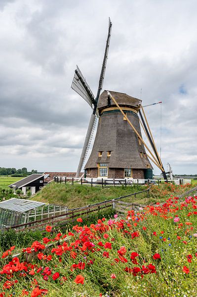 Vrouwgeestmolen Alphen aan den Rijn by Kok and Kok