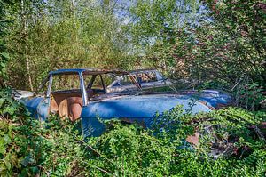 Blauw autowrak in het groen