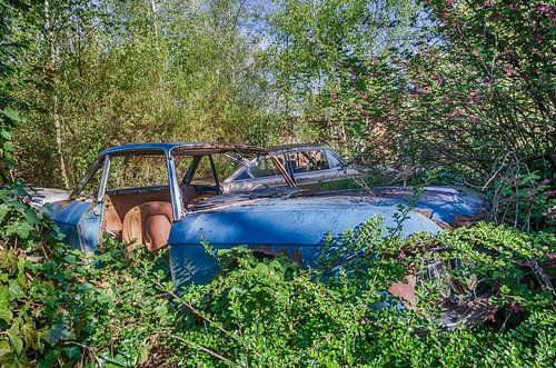 Blaues Autowrack im Grünen