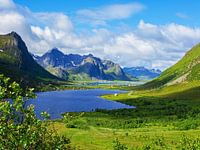 Norvège - Lofoten