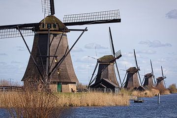 Windmolens op Kinderdijk van Rob Boon