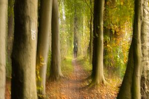 Die Tiefe des Waldes