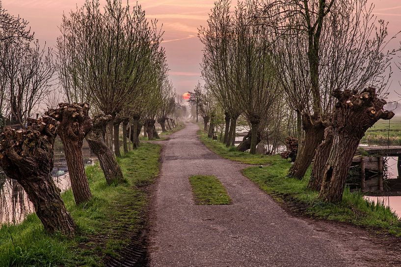 Zonsopkomst in Bergambacht van Rob Boon