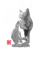 grijze kat