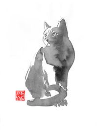 grijze kat van Péchane Sumie