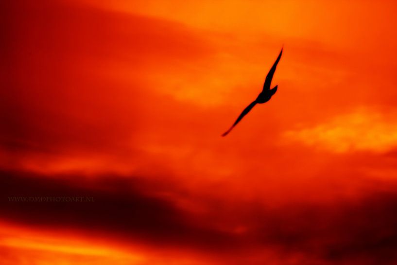 Reds par David Pichler