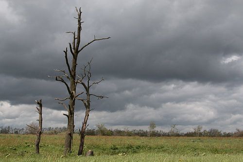Zwaar weer op komst in Drachten