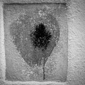 France Bleeding Heart sur Albert Hartwig