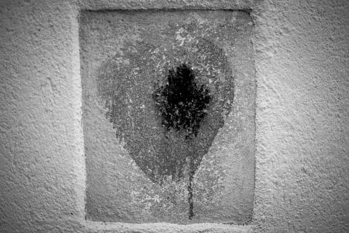 France Bleeding Heart sur Albert Hartwig