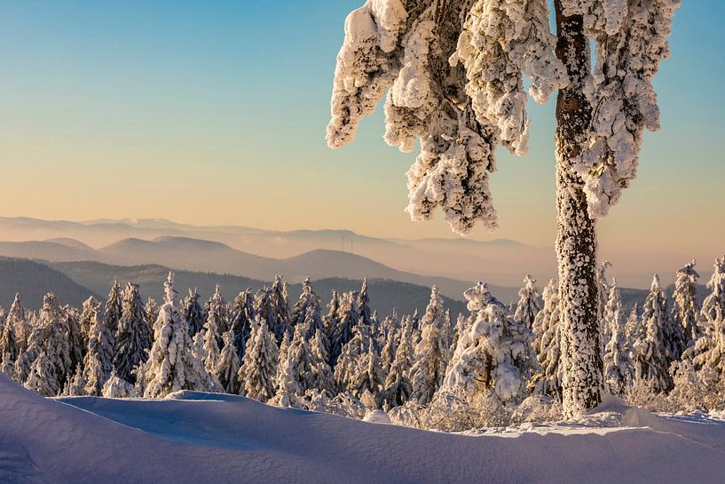 Rêve d'hiver dans le parc national de la Forêt-Noire par Werner Dieterich