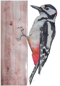 Rattenspecht-Vogel-Illustration
