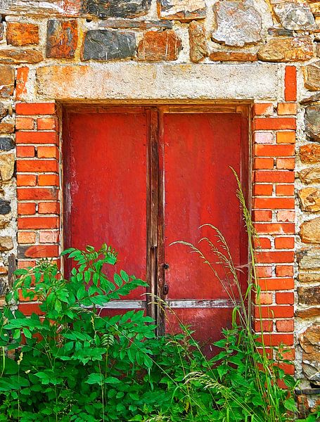 The Red Door (The Red Door) by Caroline Lichthart