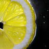 Le citron dans l'eau sur Nynke Altenburg