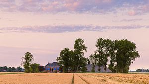 Die Groninger Landschaft bei Thesinge