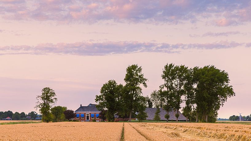 The Groningen landscape near Thesinge by Henk Meijer Photography