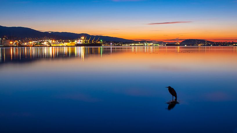 A new day in the harbor. by Remco Piet