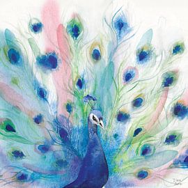 Pfau Glory IV., Dina June von Wild Apple